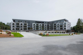 Apartment Orava Brezovina